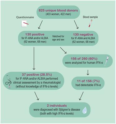 Screening for autoimmune diseases in apparently healthy antinuclear antibody positive individuals